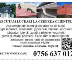 Reparati  de acoperiș